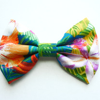Hawaii Bow
