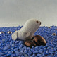 Oceanic_20creatures_20021_small