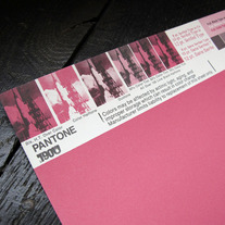 Vintage PANTONE® Poster - 190U