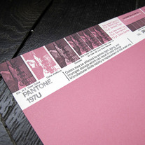 Vintage PANTONE® Poster - 197U