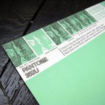 Vintage PANTONE® Poster - 352U