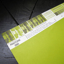 Vintage PANTONE® Poster - 390U