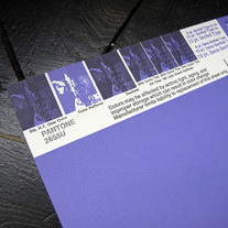 Vintage PANTONE® Poster - 2655U