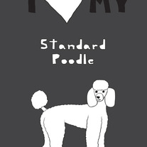 Standard Poodle, 5x7 print