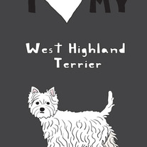 West Highland Terrier, 5x7 print