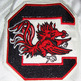 Sheldon_20brown_20ofcl_20s_20carolina_20outback_20bowl_20jerseys_202001c_small