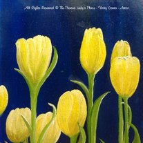 Yellow_spring_tulips_watermarked1_medium