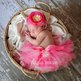 Bubblegum_small