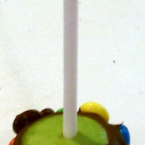 Mini Chocolate Apple Pops