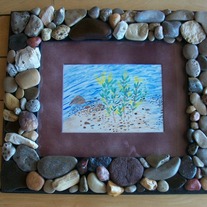 100_4737_medium