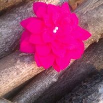 New_flower_bows3_medium