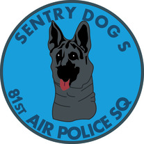 81st Air Force Squadron