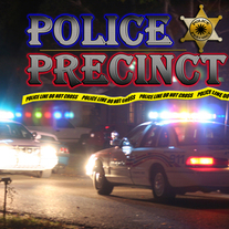 Police Precinct