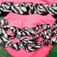 Butterfly_close_up_zebra_small