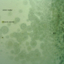Aidan Baker - Closure Axioms