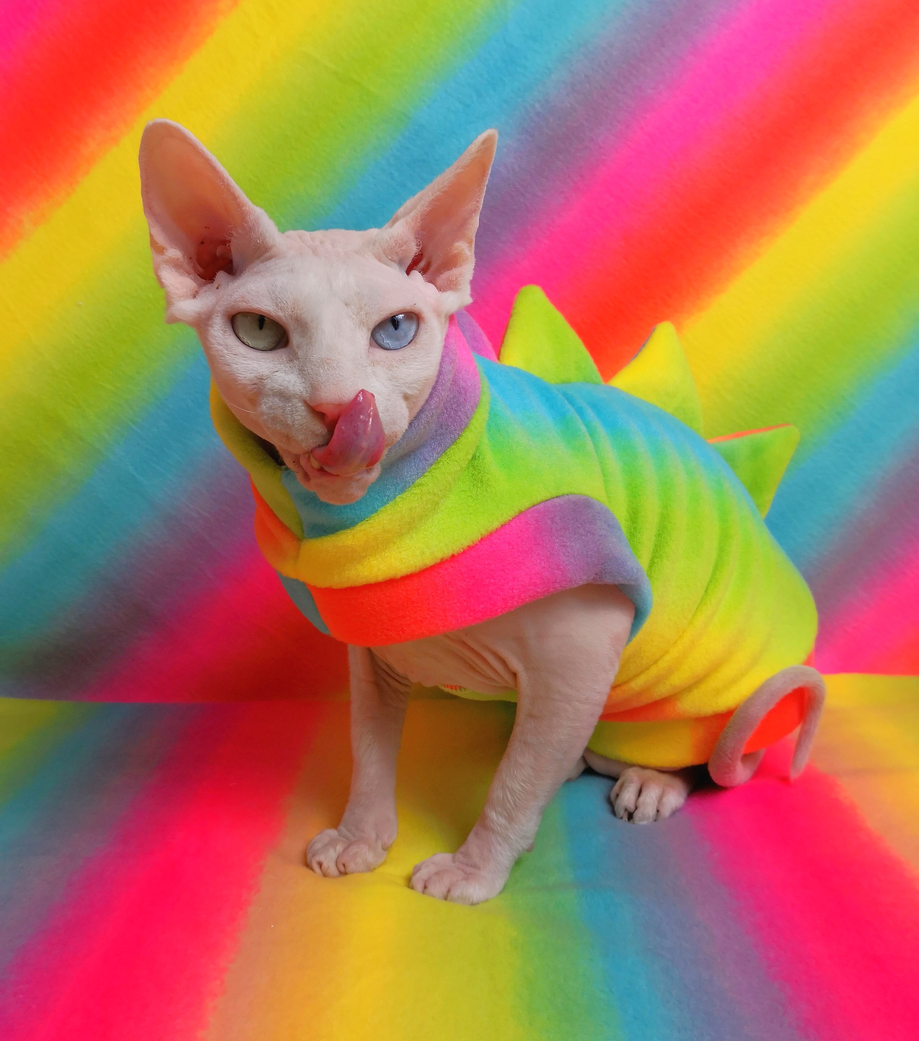 Gargoyles - Reignbow · Sphynx Swag · Online Store Powered by Storenvy