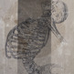 Untitled 01 | Cody Comrie - Thumbnail 1