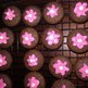 Flower_cupcakes_small