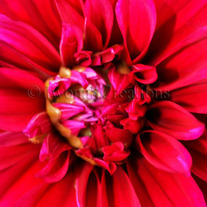 0522_203_medium