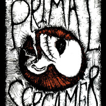 Primalscreamer_cover_medium
