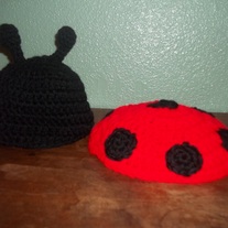 Lady Bug Photo Prop Set