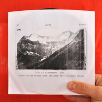 GO WHITE BRONCO "Life As A Monument" 7"