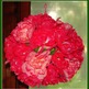 Dsc09901_small
