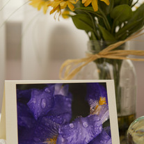 Iris_vert_productshot_medium