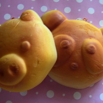 Pig and Panda squishy Grade B