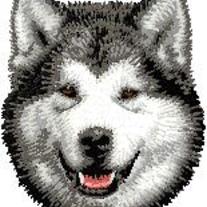 Alaskan_20malamute_20head_medium