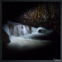 Dark River