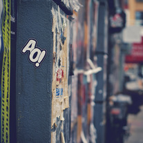 Dsc_0921_medium