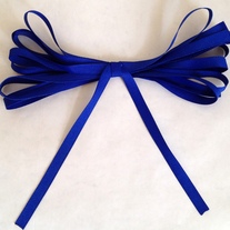 Navy Blue Ribbon