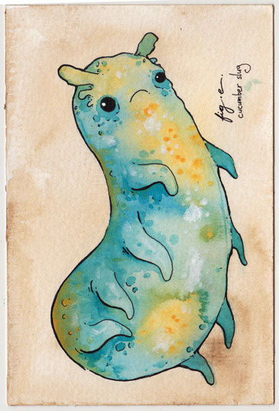 Cucumber Slug Postcard