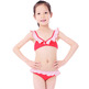 Yfa23-3_small