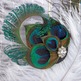 Peacock_20feather_20fascinator_20head_20full_20of_20feathers_203_small
