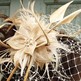 Champagne_20peacock_20fascinator_20with_20gold_20and_20birdcage_20veil_203_small