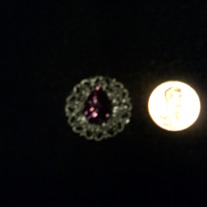 Purplefiregembindi8_medium