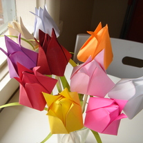 Dsc05994_medium