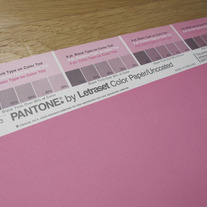 Vintage PANTONE® Poster - Pantone 210U