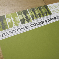 Vintage PANTONE® Poster - Pantone 391 (1970) 