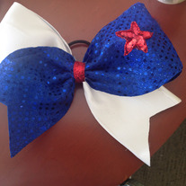 Patriotic/school colors bow