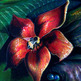 The Lilith Effect  - Thumbnail 2
