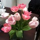 Photo_32_