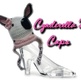 Cynderella_s_caps2