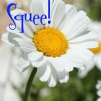 Squee_avatar4