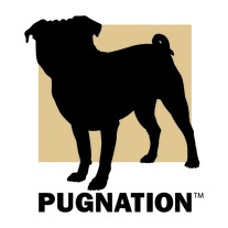 Pugnation