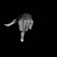 Tumblr_m7jdqjxdte1qcuv78o1_1280