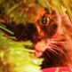 Rsz_10_edited