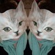 Tumblr_lvczto9nwf1qdumwwo1_500
